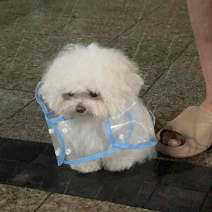 pCR[g |` ybgp  J Xqt h EFA  U ^ ^ H |GXe u[ CG[ zCg sN ubN XS S M L XL 2XL 3XL 4XL 6XL