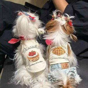 ybg ^ L  s[X }`[Y Schnauzer rV t  rXPbg 킢 u[ bh |GXe