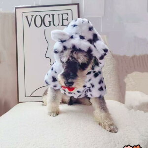   H~ ^ ^ hbOEFA R[g WPbg R[xxbg g h 킢 _ qE