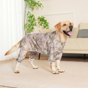 ybg p lr  ^ ^ ^ |GXe ʕ G F