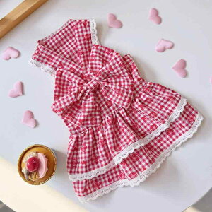 ybgp  XJ[g  L o ԕ _uC[ P[LXJ[g zF {  킢  ig