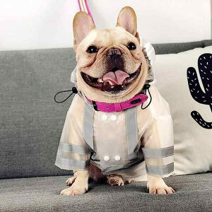 pCR[g F˃e[vt ybgpJ h ^ ^  v CObVX^C Up