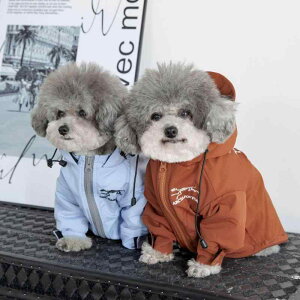ybg p h t[ht CR[g hbOEFA N Rbg ^ ^ ^ ΃u[ KF CG[ ubN O[