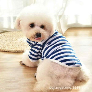 ybg hbOEFA ^ t ^Ngbv   XgCv  IW  