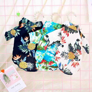 ybg   p t Vc AnVc 킢 ^ ^  JWA nCA  hbOEFA