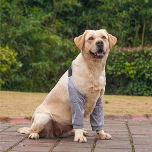 ybg p I ^ ֐ߕی G bOEH[}[ t S hbOEFA  O[ N[  ԕ XgCv