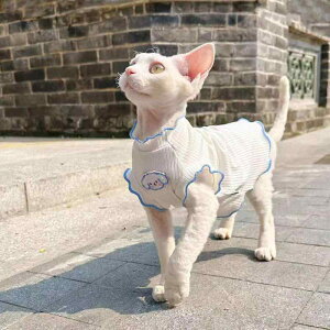 ybg Lp ^Ngbv t  Lk ʋC |GXe 킢 m[X[u XS S M L XL