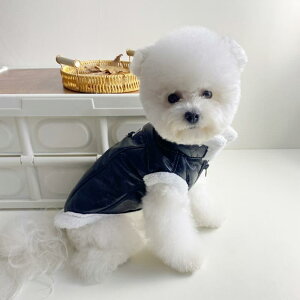 hbOEFA   H~ O  m[X[u PUU[ xXg efB ViEU[ }`[Y ^ ^ ubN uE bh