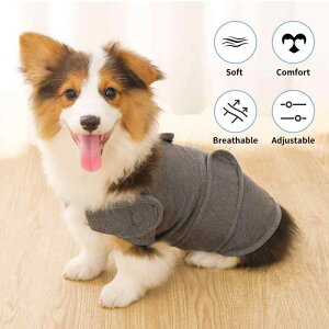 ybg   wS ?? ɘa WPbg t H~   K Lk ʋC O[