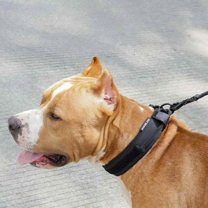  p  [h Zbg ^ ^ iC P U O[ n p(x2)