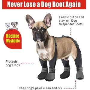 hbOV[Y pC ybgpC h h ~ ˃XgCvt |GXe ^ ^ ^ I[V[Y ubN(x5)