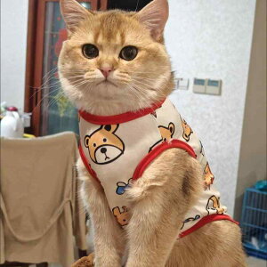 ybg L ^Ngbv ^ L |GXe ʋC  킢 qL hbOEFA    t