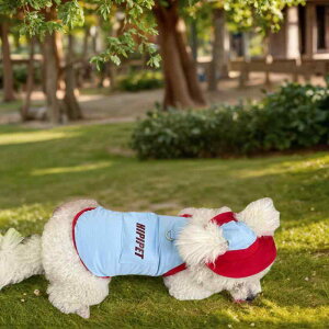 hbOEFA   p ybg EFA AEghA O΍ ڐG⊴ ߉\ ^ L |GXe  (x2)