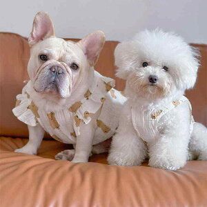 ybg L ^   wS X[u s[X pW} [EFA  ʋC efB rV F(x2)