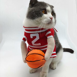 ybg   L  RXv p oXPbg{[ jtH[ 킢 |GXe bh ^ ^(x2)