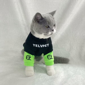 �y�b�g�� ���^�� �L �H�~ �X�E�F�b�g �g���[�i�[ ���� �|���G�X�e�� ���i�g�� �J�W���A�� �u���b�N �؂�ւ� XS S M L XL