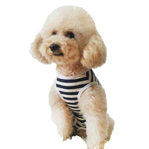  hbOEFA Rbg XgCv S  IX X p }i[pc pc u[n sNn