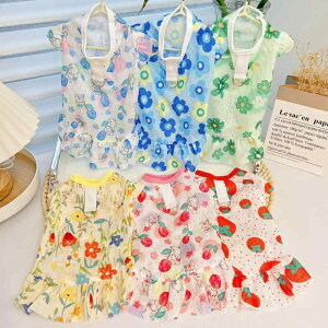 ybgp   L  hN іh~ xXg ^ ^ ^ CG[ pXeu[ sN bh O[