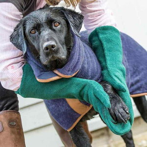  L ybgp  O[u z  ^I Vv[ hC @ nF VF ?F n?F F CF [O[