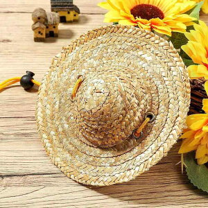 Xq ybgpXq ~jXqLp Xq 悯Xq O΍ LOʐ^ ap[eB[ Cxg RXv  킢(x3)