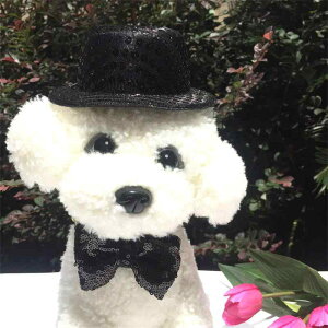 ybgXqLp  XpR[t 瑕Xq lN^C Zbg lG(x3)