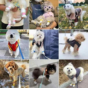 pC p\bNX ĝă^Cv h ybgp Oo U n ^ ^ ^ ~ sDz(x2)