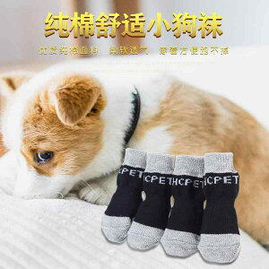 pC ybgpC  Rbg ~ ی  ԓ AXt@g h~ ^ ^ ^  O[  O[ ʔN