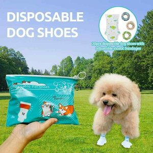 pC ĝă^Cv ~ ی ybgp\bNX ^ ^ n S M 20 Zbg t