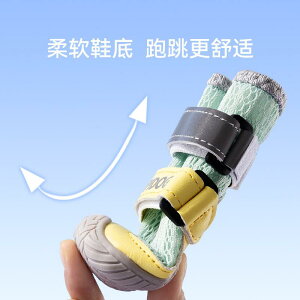 hbOV[Y ^ ^ ^ pC bV ʋC ~ ی Up h~ Eɂ t