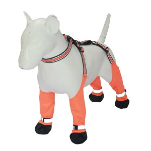 hbOV[Y  C ybgpi pC ی h ~ ^ ^ ^ U h~ CG[O[ IW XS S M L XL XXL