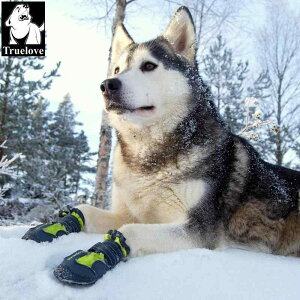 p V[Y AEghA h h ϖՐ hbOu[c ^ ^ 4Zbg IW ubN bh O[(x5)