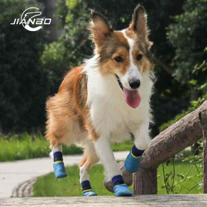 pC h ybgpC ɂ hbOV[Y  C ^ ^ ^ |GXe  ی U PKh~(x2)