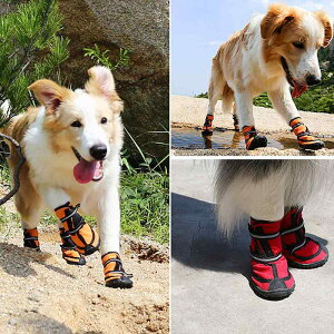 hbOV[Y pC ^ ^ ^ CV[Y h ~ _炩C Eɂ JWA  F 