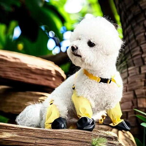 hbOV[Y p hV[Y ϖ ~ D Cu[c ^ ^ ^ ybgp C ubN u[ CG[ O[