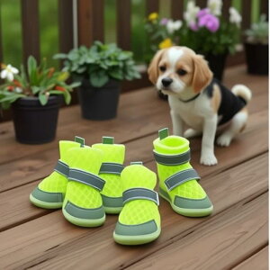  L ybg C ~ h ی ^ ^ ^  U PKh~ I[V[Y