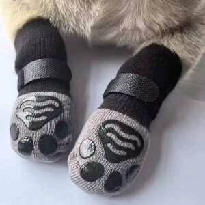 ybg C bOEH[}[ ~ ^ ^ ^ p Lp \bNX h~  ΍ h  {[_[