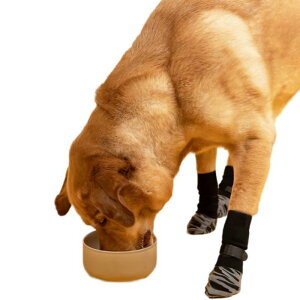 C p  ~ ^ ^ ی h~ ʋC PKh~ LYȂߖh~ t[Oی ی