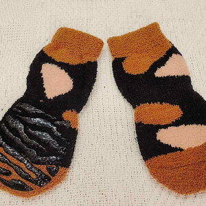 pC ybgp  ۉ ~  \bNX ^ ^ ^(x200)