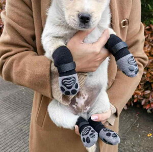 ybg C  L ~ h \bNX ^ ^ ^ h~ ی  U PK rߖh~ 킢 ubN(x2)