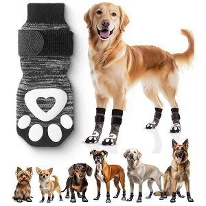 pC ybgpC p\bNX Ȑ ʋC ~ ^ S[fgo[ ʃvg JWAX^C I[V[Y