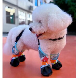 hbO V[Y ^ ^ ^  C tH w 4 Zbg h h ₷ Eɂ ʋC K U