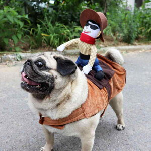 ybgp nEB RX`[ JE{[C n ߑ ^ ^   ėp |GXe  AWA(x2)