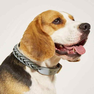  ^ ^p v ybgpi  L ߉\ U[ ubN bh O[ 킢  ig U(x2)