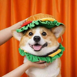 ybgpXq no[K[ ^ ^ ^ RXv 킢 R[M[ Č  L 蕨 H(x2)