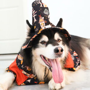 p RX`[ nEB  }g Xq Zbg ^ ^ |GXe lG(x5)