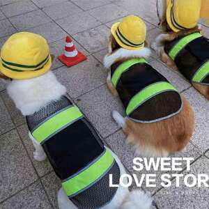 Xq L nEB RXv Lbv Ԃ  ^ ^ ^ CG[ bh