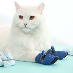 L C Lp ی V[Y  ~ ^ rߖh~ }{[_[ ₯ǖh~  Up 킢 ybg\bNX