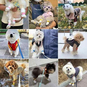 pV[Y pC ybgp h h ĝ U gщ\ ^ ^ ^