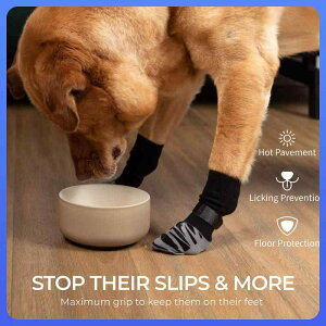 p\bNX h ~ ^ ^ ی  ig 킢 XgCv hbO\bNX XS S M L XL(x2)