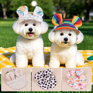 Xq ybgp t  Lp 悯 vX Rꎨ ʋC iq ԕ O΍ 킢  ^ L sNn O[n(x3)